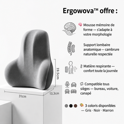 Coussin Lombaire Ergowova™