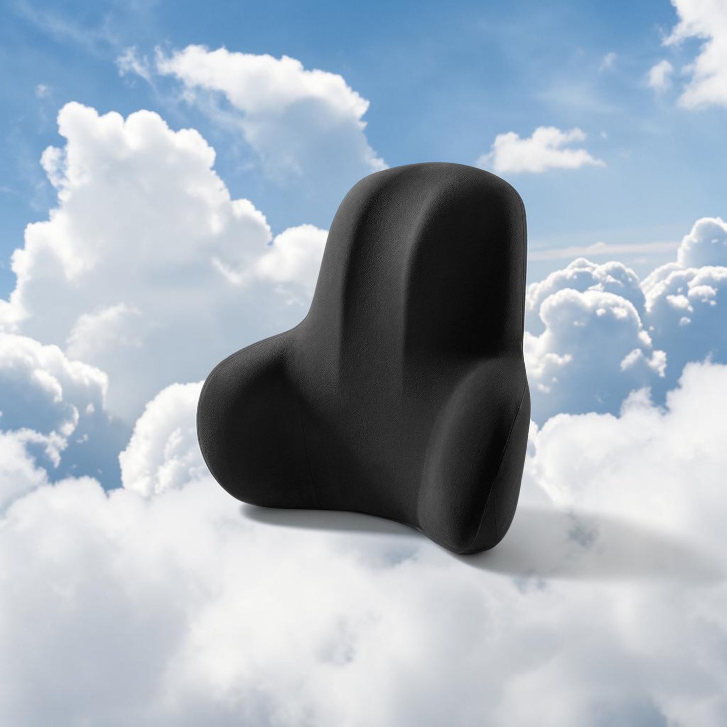 Coussin Lombaire Ergowova™
