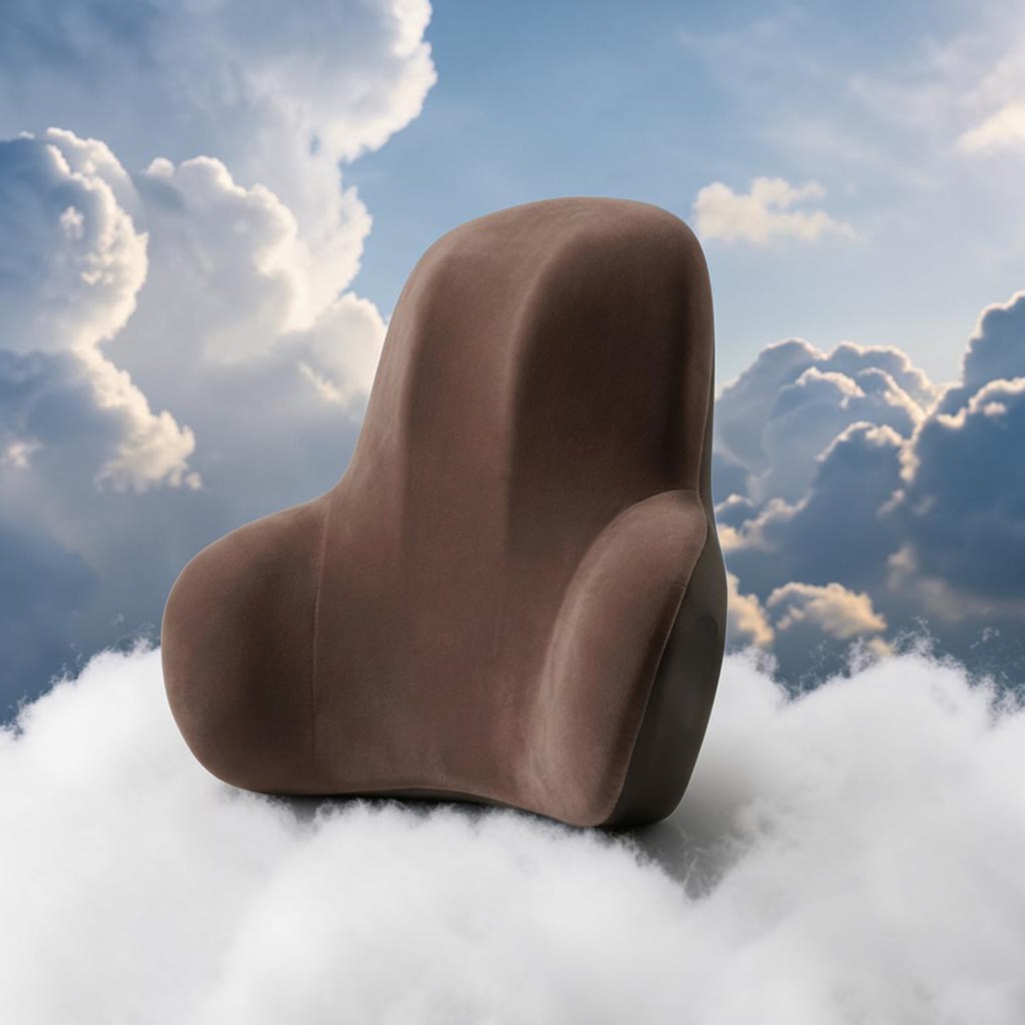 Coussin Lombaire Ergowova™